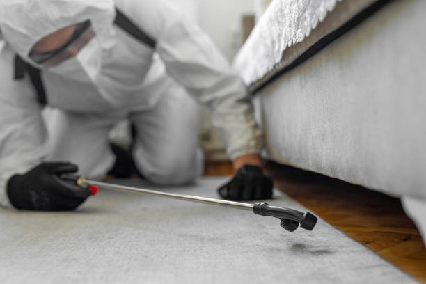 Professional Bed Bug Control technician working in Hidden Springs, ID