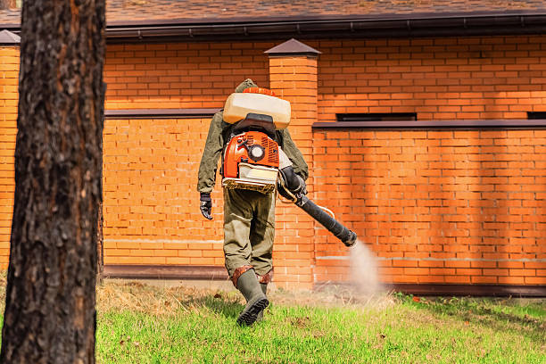 Trusted Cockroach Control service in Hidden Springs, ID - Nex Pest Control